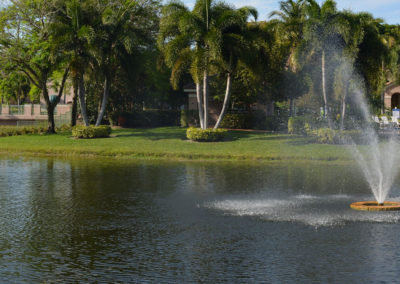 Lake & Fountain